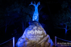 Harry Potter The Forbidden Forest Experience